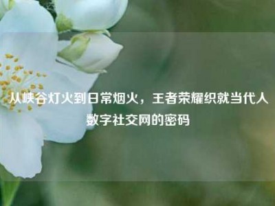 从峡谷灯火到日常烟火，王者荣耀织就当代人数字社交网的密码