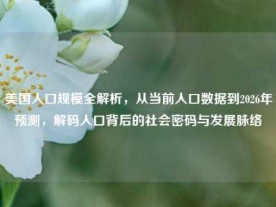 美国人口规模全解析，从当前人口数据到2026年预测，解码人口背后的社会密码与发展脉络