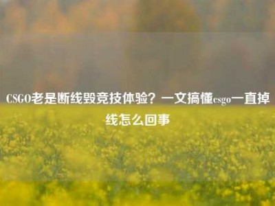 CSGO老是断线毁竞技体验？一文搞懂csgo一直掉线怎么回事