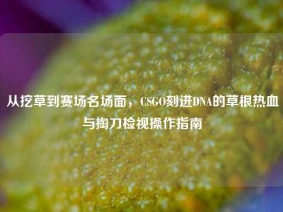 从挖草到赛场名场面，CSGO刻进DNA的草根热血与掏刀检视操作指南