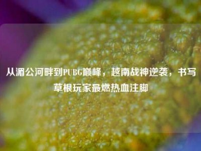 从湄公河畔到PUBG巅峰，越南战神逆袭，书写草根玩家最燃热血注脚