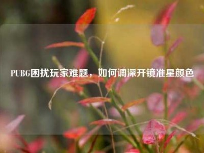 PUBG困扰玩家难题，如何调深开镜准星颜色