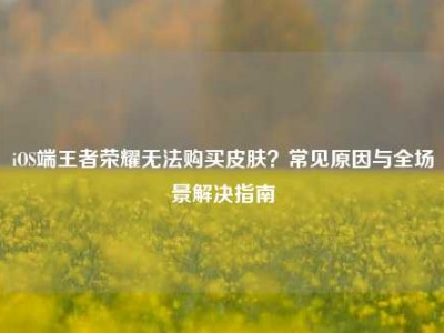 iOS端王者荣耀无法购买皮肤？常见原因与全场景解决指南