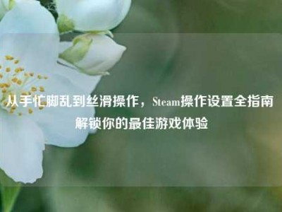 从手忙脚乱到丝滑操作，Steam操作设置全指南 解锁你的最佳游戏体验