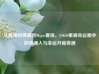 从直播间弹幕到Major赛场，CSGO里被命运砸中的普通人与幸运开箱奇遇