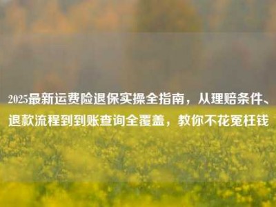 2025最新运费险退保实操全指南，从理赔条件、退款流程到到账查询全覆盖，教你不花冤枉钱