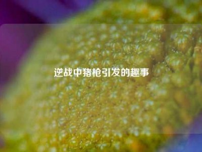 逆战中猪枪引发的趣事