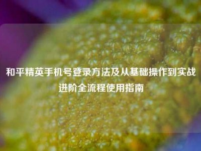 和平精英手机号登录方法及从基础操作到实战进阶全流程使用指南