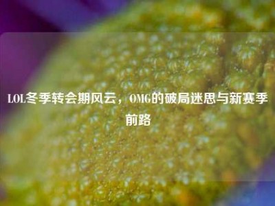 LOL冬季转会期风云，OMG的破局迷思与新赛季前路