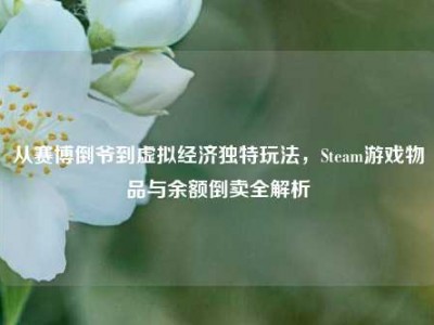 从赛博倒爷到虚拟经济独特玩法，Steam游戏物品与余额倒卖全解析