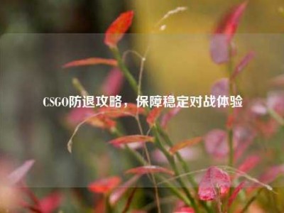 CSGO防退攻略，保障稳定对战体验