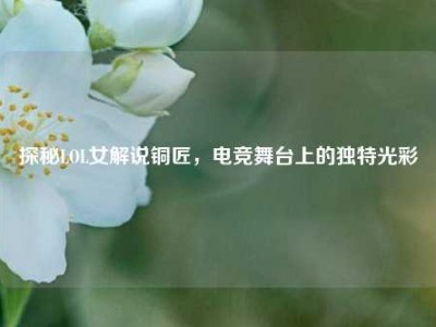 探秘LOL女解说铜匠，电竞舞台上的独特光彩