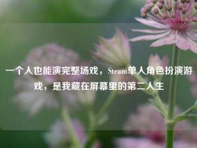 一个人也能演完整场戏，Steam单人角色扮演游戏，是我藏在屏幕里的第二人生