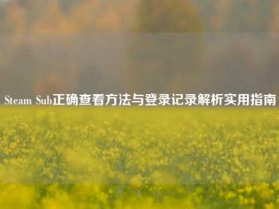 Steam Sub正确查看方法与登录记录解析实用指南