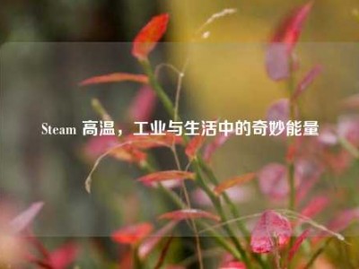 Steam 高温，工业与生活中的奇妙能量