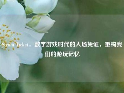 Steam Ticket，数字游戏时代的入场凭证，重构我们的游玩记忆