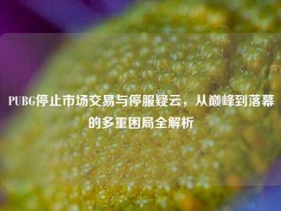 PUBG停止市场交易与停服疑云，从巅峰到落幕的多重困局全解析