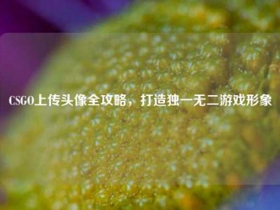CSGO上传头像全攻略，打造独一无二游戏形象