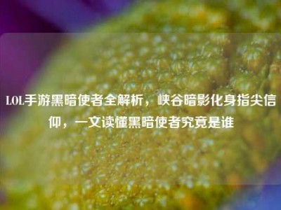 LOL手游黑暗使者全解析，峡谷暗影化身指尖信仰，一文读懂黑暗使者究竟是谁