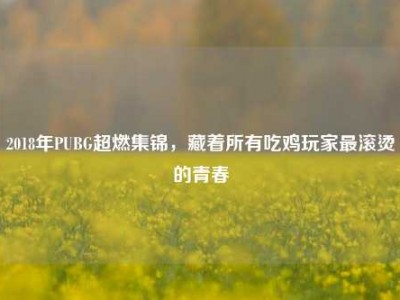 2018年PUBG超燃集锦，藏着所有吃鸡玩家最滚烫的青春