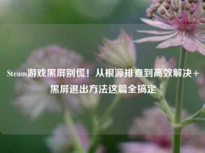 Steam游戏黑屏别慌！从根源排查到高效解决+黑屏退出方法这篇全搞定