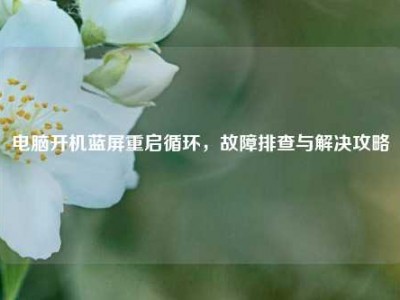 电脑开机蓝屏重启循环，故障排查与解决攻略