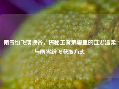 雨雪纷飞落峡谷，探秘王者荣耀里的江湖温柔与雨雪纷飞获取方式