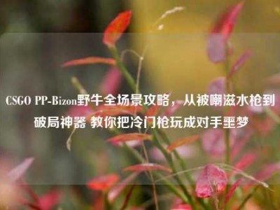 CSGO PP-Bizon野牛全场景攻略，从被嘲滋水枪到破局神器 教你把冷门枪玩成对手噩梦