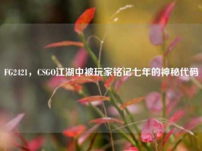 FG2421，CSGO江湖中被玩家铭记七年的神秘代码