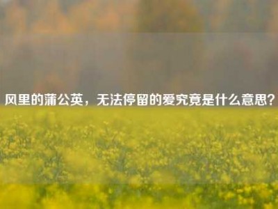 风里的蒲公英，无法停留的爱究竟是什么意思？