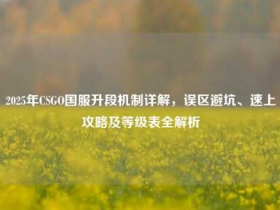 2025年CSGO国服升段机制详解，误区避坑、速上攻略及等级表全解析