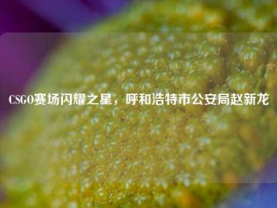 CSGO赛场闪耀之星，呼和浩特市公安局赵新龙
