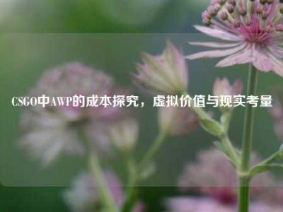 CSGO中AWP的成本探究，虚拟价值与现实考量