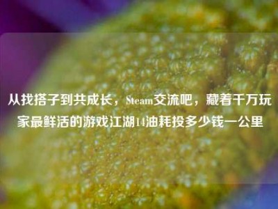 从找搭子到共成长，Steam交流吧，藏着千万玩家最鲜活的游戏江湖14油耗投多少钱一公里