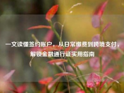 一文读懂签约账户，从日常缴费到跨境支付，解锁金融通行证实用指南