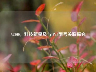 A2200，科技新星及与iPad型号关联探究