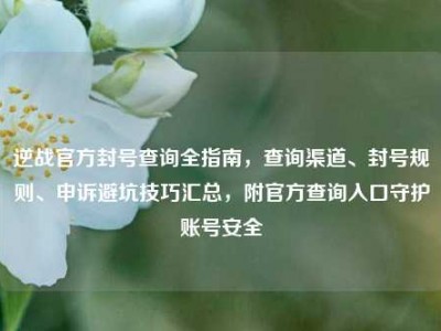 逆战官方封号查询全指南，查询渠道、封号规则、申诉避坑技巧汇总，附官方查询入口守护账号安全