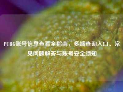 PUBG账号信息查看全指南，多端查询入口、常见问题解答与账号安全须知