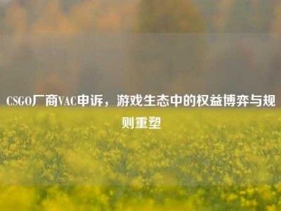 CSGO厂商VAC申诉，游戏生态中的权益博弈与规则重塑
