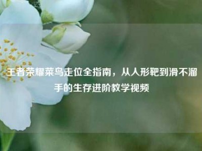 王者荣耀菜鸟走位全指南，从人形靶到滑不溜手的生存进阶教学视频