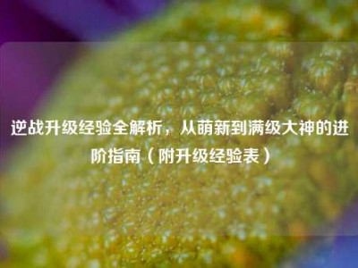 逆战升级经验全解析，从萌新到满级大神的进阶指南（附升级经验表）