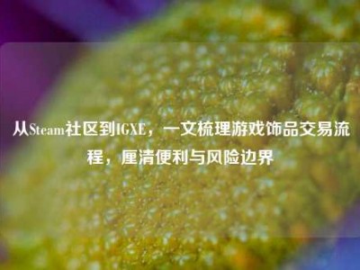 从Steam社区到IGXE，一文梳理游戏饰品交易流程，厘清便利与风险边界