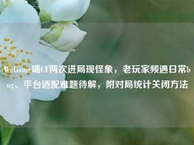 WeGame端CF两次进局现怪象，老玩家频遇日常bug、平台适配难题待解，附对局统计关闭方法