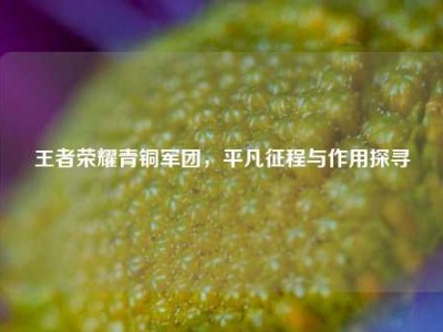王者荣耀青铜军团，平凡征程与作用探寻