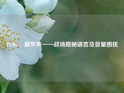 PUBG，脚步声——战场隐秘语言及音量困扰