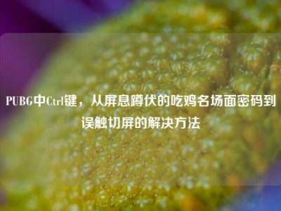 PUBG中Ctrl键，从屏息蹲伏的吃鸡名场面密码到误触切屏的解决方法