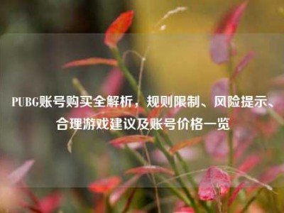 PUBG账号购买全解析，规则限制、风险提示、合理游戏建议及账号价格一览