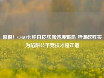 警惕！CSGO卡纯白皮肤属违规骗局 所谓教程实为陷阱公平竞技才是正道