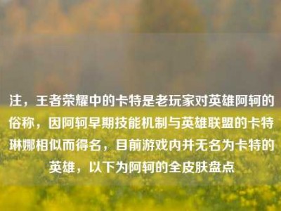 注，王者荣耀中的卡特是老玩家对英雄阿轲的俗称，因阿轲早期技能机制与英雄联盟的卡特琳娜相似而得名，目前游戏内并无名为卡特的英雄，以下为阿轲的全皮肤盘点