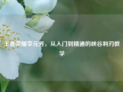王者荣耀李元芳，从入门到精通的峡谷利刃教学